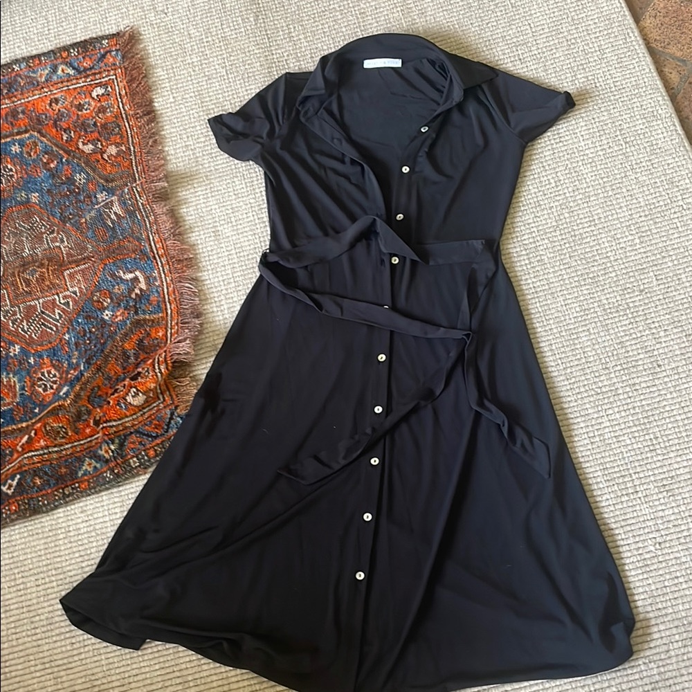 Elegant Black Button-Down Dress